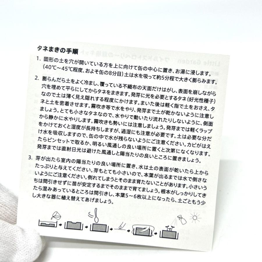 未使用  ファミリア ワイルドストロベリー栽培キット ミニプランツ 植物 缶 みらい百貨店 雑貨【中古】 |  | 04