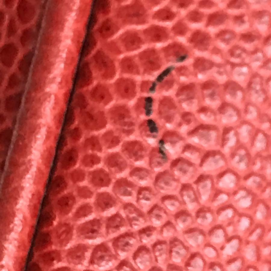 CHANEL シャネル CC ココマーク 横型 化粧ポーチ ハンドバッグ バニティバッグ キャビアスキン レディース レッド | CHANEL | 07