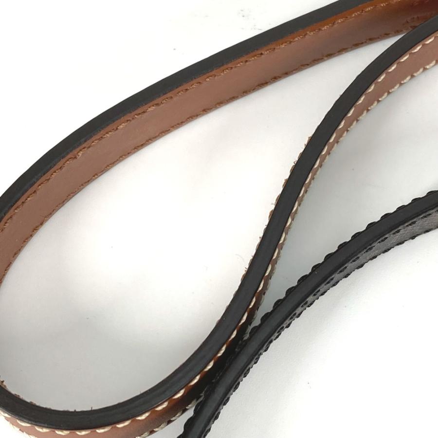 CELINE（セリーヌ） 美品 4M1582EAV.04LI ドッグリーシュ 犬 ペット