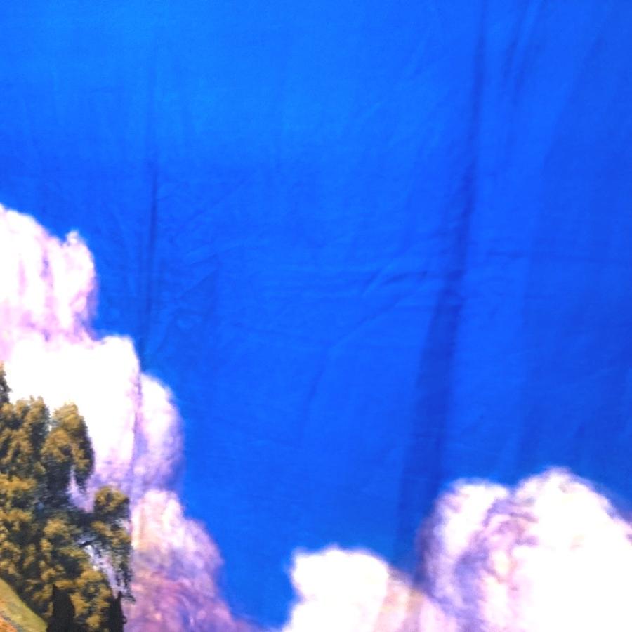 LOUIS VUITTON ルイヴィトン MP2323 オズの魔法使い マフラー ショール ストール フリンジ ヴァージルアブロー ストール【中古】 | LOUIS VUITTON | 02