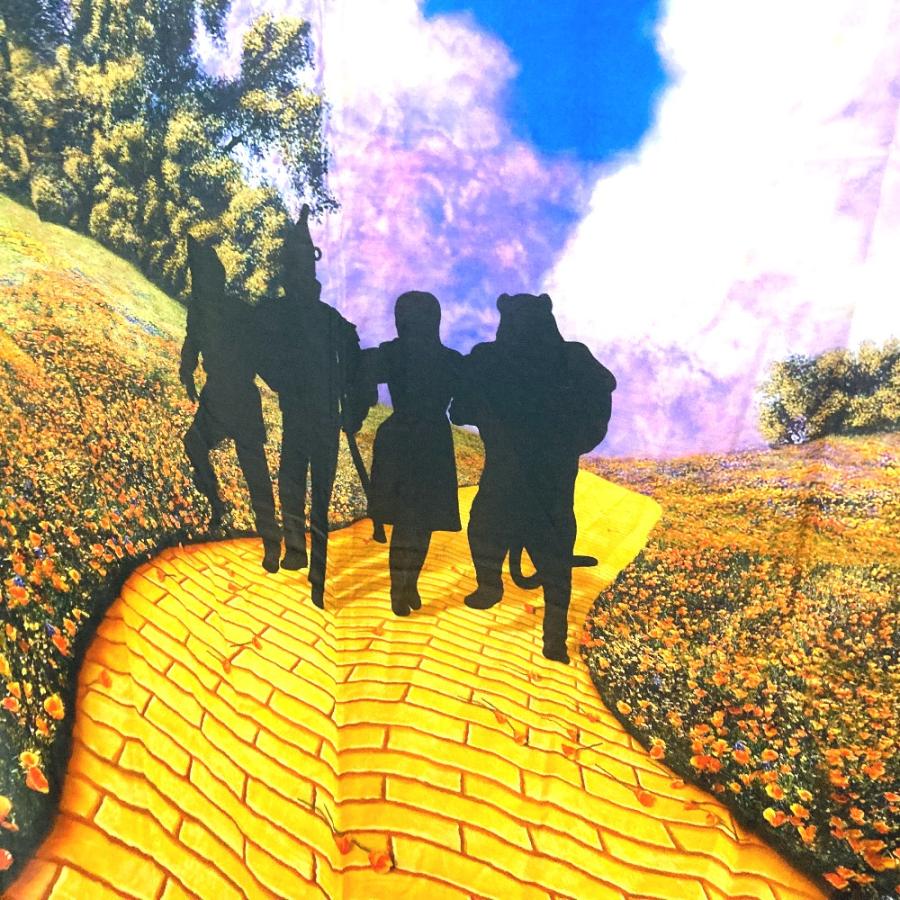 LOUIS VUITTON ルイヴィトン MP2323 オズの魔法使い マフラー ショール ストール フリンジ ヴァージルアブロー ストール【中古】 | LOUIS VUITTON | 03