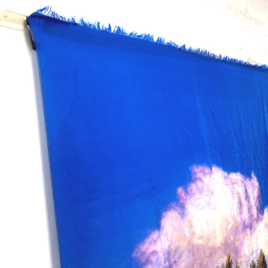 LOUIS VUITTON ルイヴィトン MP2323 オズの魔法使い マフラー ショール ストール フリンジ ヴァージルアブロー ストール【中古】 | LOUIS VUITTON | 04