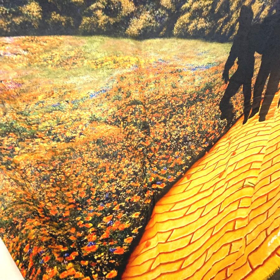 LOUIS VUITTON ルイヴィトン MP2323 オズの魔法使い マフラー ショール ストール フリンジ ヴァージルアブロー ストール【中古】 | LOUIS VUITTON | 05