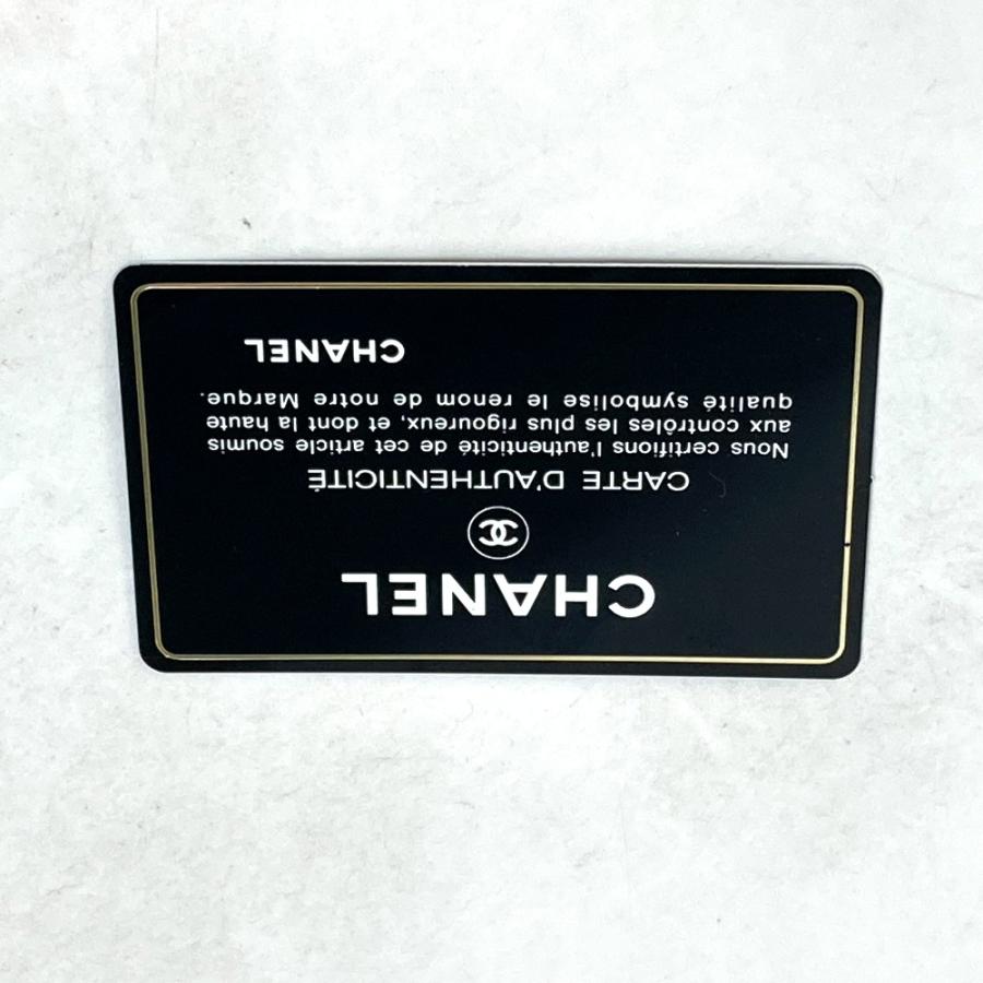 CHANEL シャネル A46116 ココ カンボン 衣類カバー ガーメントカバー ガーメントバッグ ナイロン シルバー レディース【中古】 | CHANEL | 09