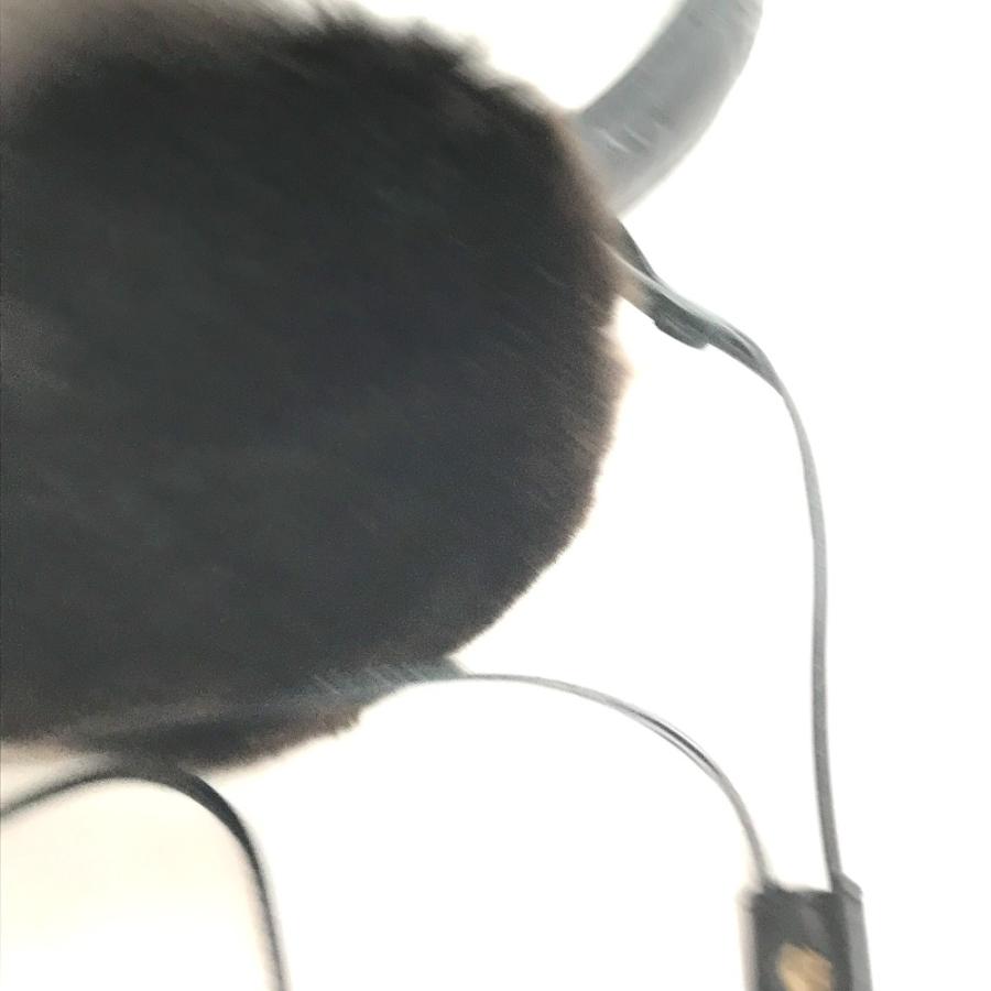 GUCCI グッチ 245929  ファー モコモコ 紐つき 耳あて イヤーマフラー イヤーウォーマー グッチシマ GG イヤーマフ ブラック レディース【中古】 | GUCCI | 02