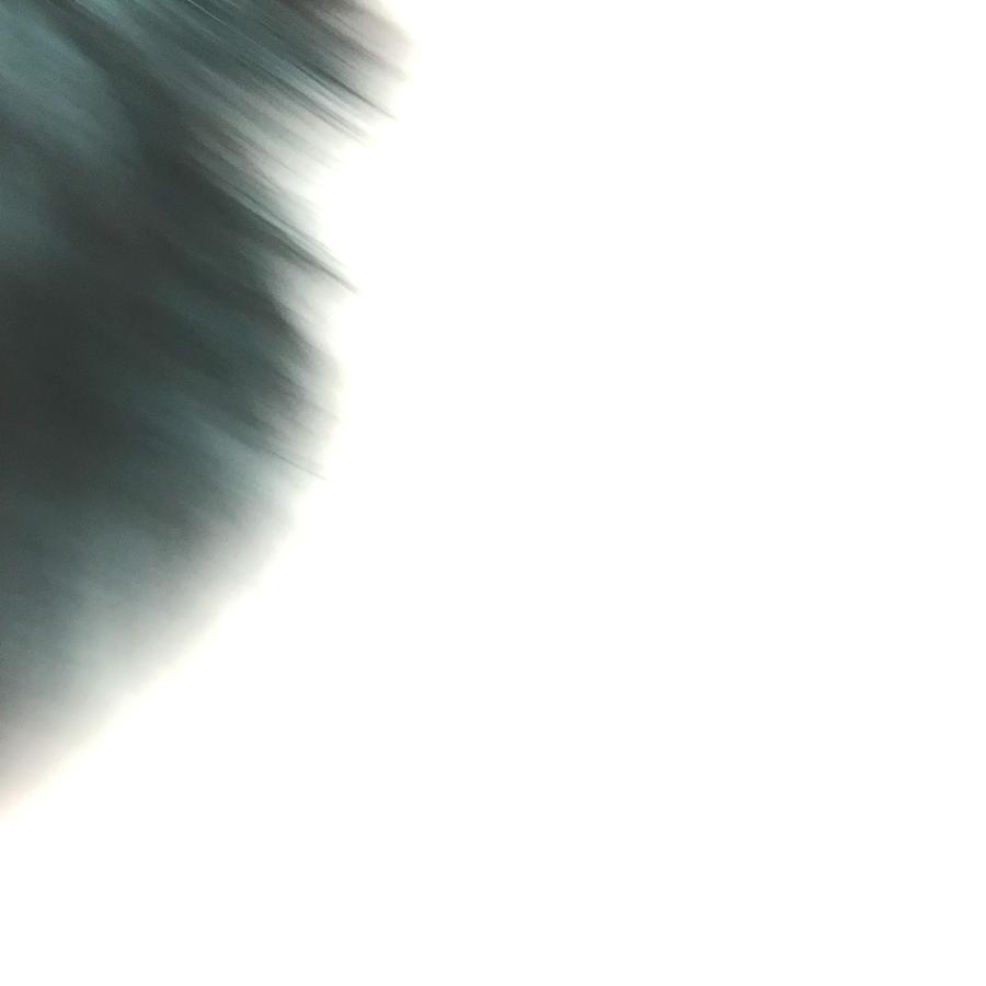 FENDI フェンディ ティペット ラッピー スカーフ ファー スヌード マフラー グリーン系 レディース【中古】 | FENDI | 03