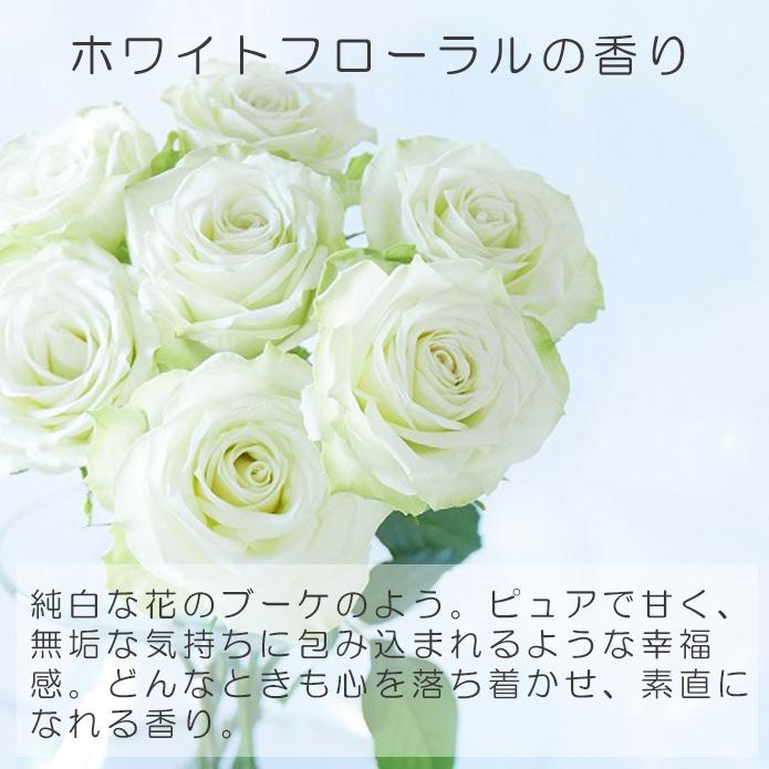 JILL STUART（ジルスチュアート） 公式ショッピングバッグ ギフト