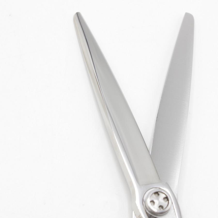 トギノン Dr.シャーク 6.1インチ スーパーブラント