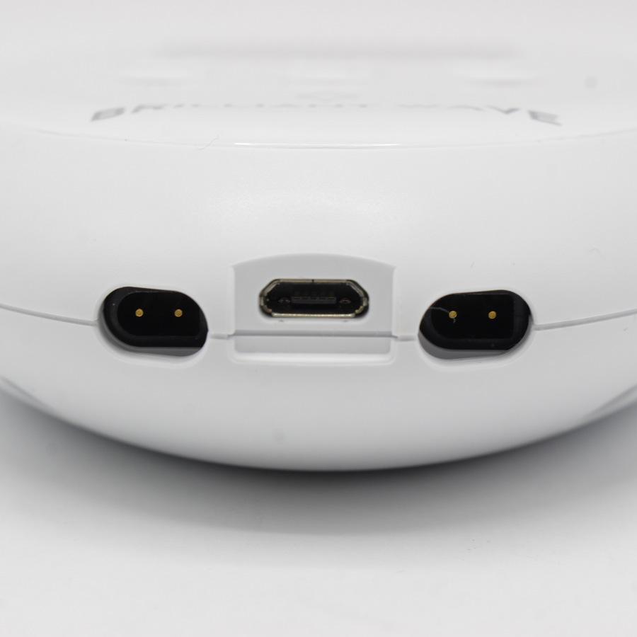 BRILLIANT WAVE EMS 本体と付属品