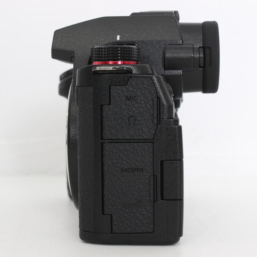 ボーナスストア+5％【美品】パナソニック LUMIX DC-S5M2W ダブルレンズキット フルサイズミラーレス一眼カメラ Panasonic 本体 |  | 04