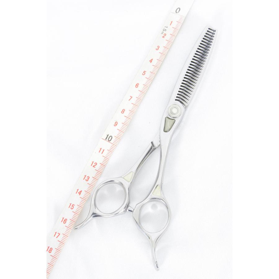 トギノンクイーンサクセス サクセススター5.8