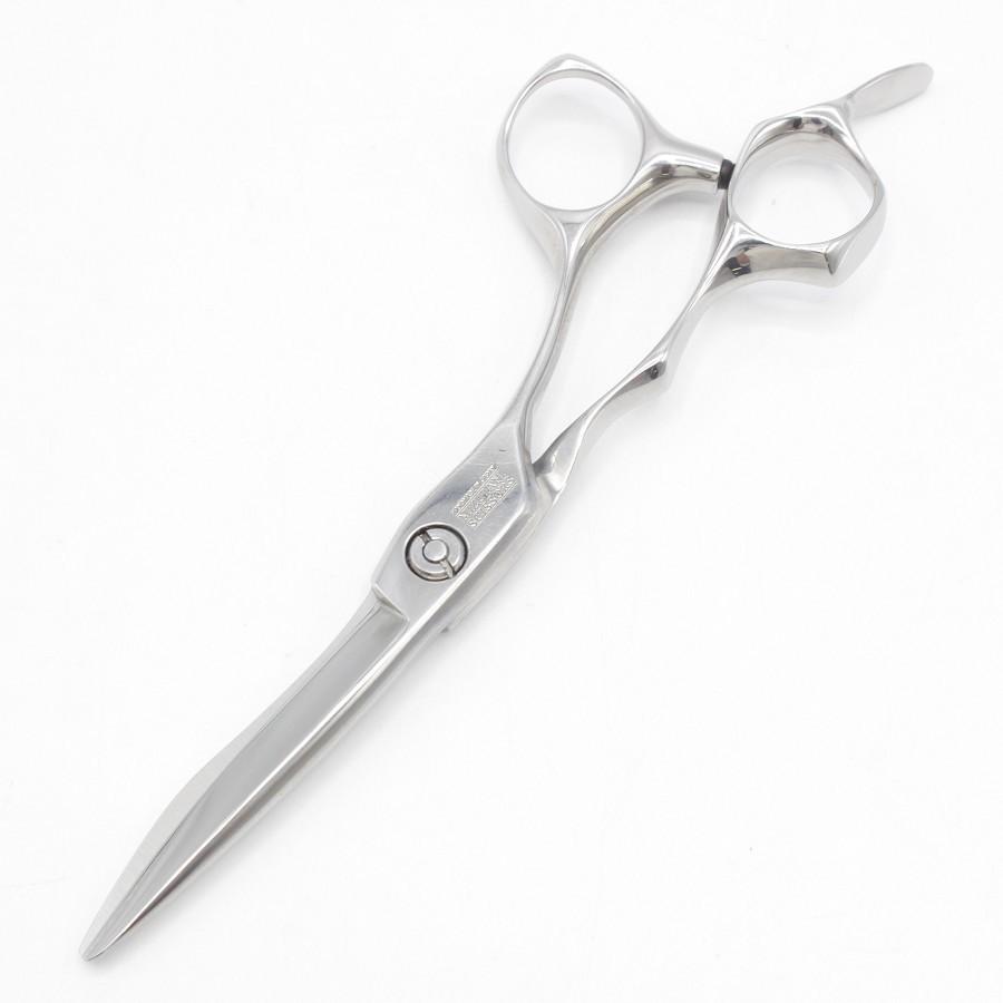 本日限定値下げ中　完備品　ミズタニシザー　ACRO Z-1 アクロ Z-1 本日限定値下げ中 完備品 ミズタニシザー ACRO Z-1 アクロ Z-1