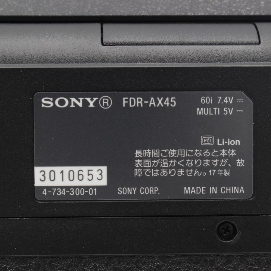 いちごいちえ❗️SONY 4K ハンディカム FDR-AX45 FDR-AX45 | デジタルビデオカメラ Handycam ハンディカム | ソニー