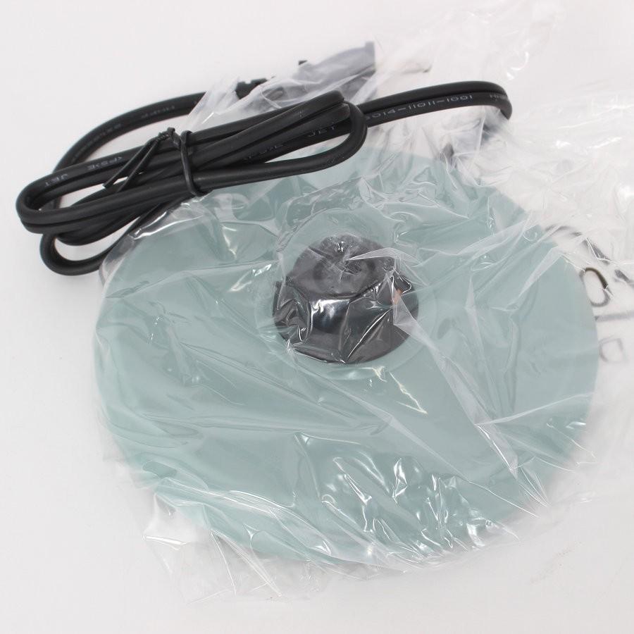 ボーナスストア+5％【新品】BRUNO ステンレスデイリーケトル BOE072-BL ブルー 1.0L 電気ケトル ブルーノ 本体 |  | 02
