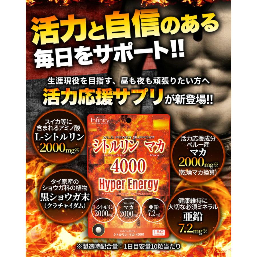 モイスチャ4　リンリンルンサマ トリックスター / Ninja ZX-4R SE /ZX-4RR(24-26) 政府認証フル