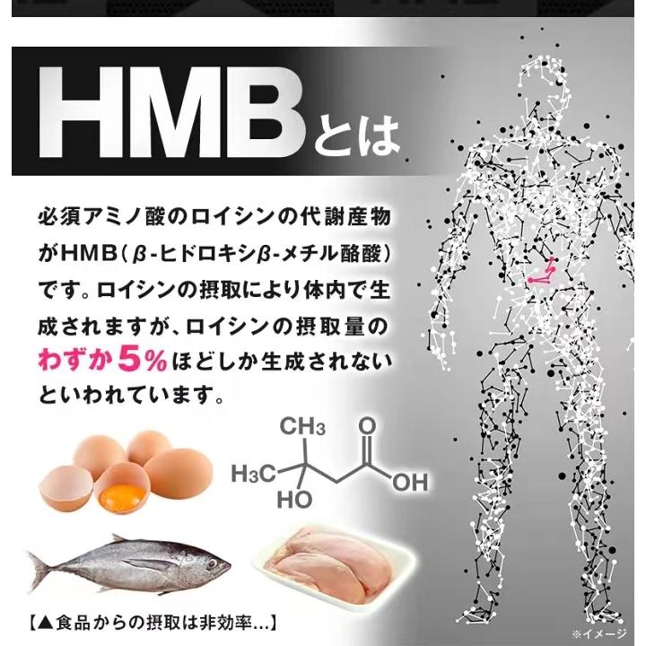 HMB2380 160粒　送料無料　HMB　トレーニング　スポーツ　BCAA　シトルリン　ダイエット　サプリメント｜reg-joy｜06