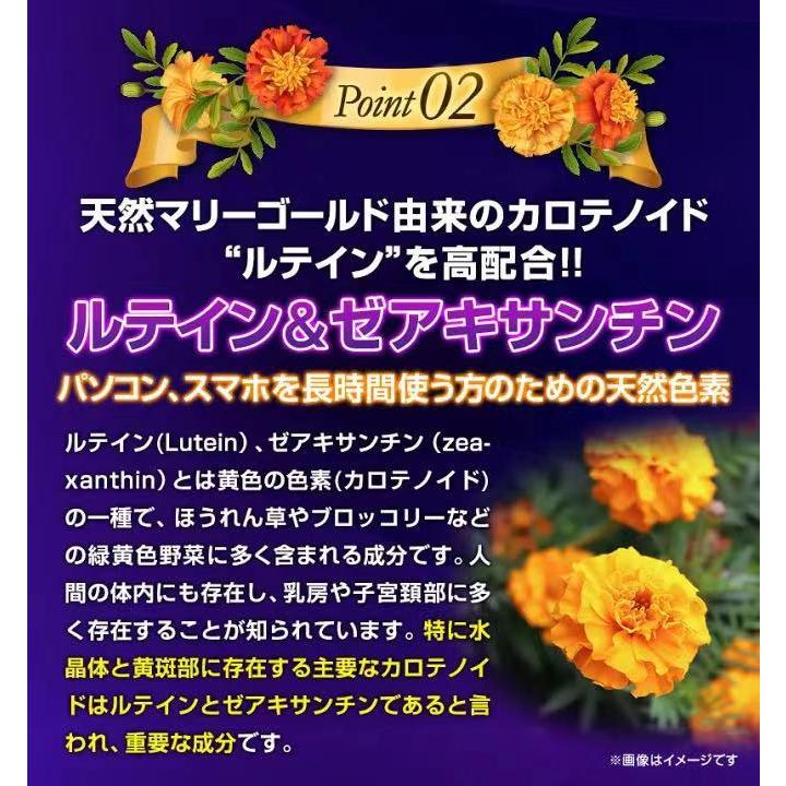 機能性表示食品 ぼやけ・かすみの軽減によりくっきり見る力の改善 インフィニティ― MEGAルテイン６０　60粒 ブルーライト　ストレス｜reg-kenseido｜13