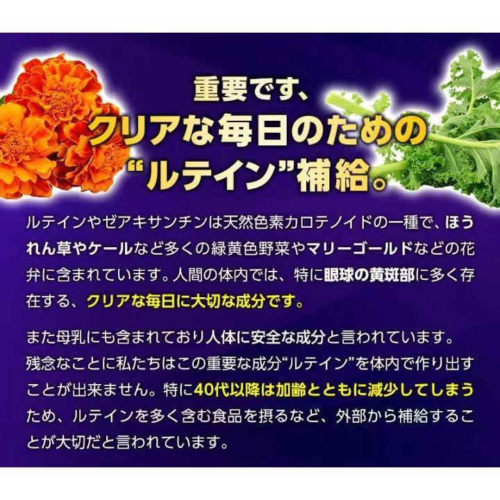 機能性表示食品 ぼやけ・かすみの軽減によりくっきり見る力の改善 インフィニティ― MEGAルテイン６０　60粒 ブルーライト　ストレス｜reg-kenseido｜07