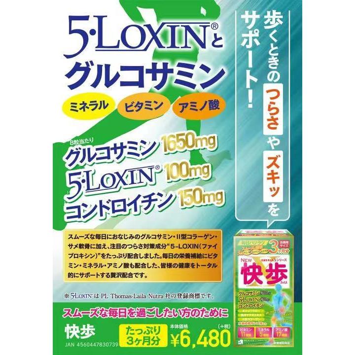健康食品 サプリメント グルコサミン ボーテサンテラボラトリーズ 快歩 720粒 コンドロイチン 水素 ビタミン ミネラル かいほ