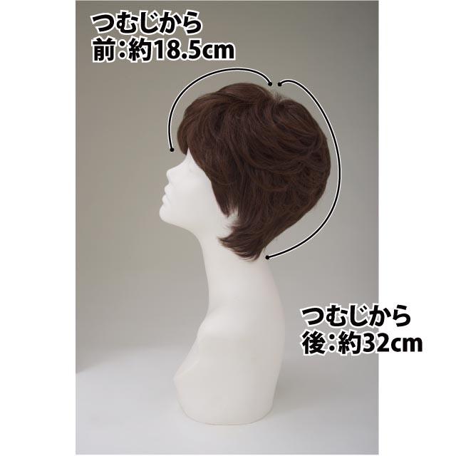 【国産】 プリシラ BA-006ミセスBEAUTE総手植えオールウィッグ(人毛ミックス)【エレガントショート】耐熱 【H2780654465】(16302円)