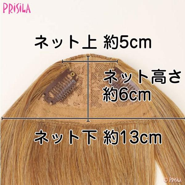 ウィッグ プリシラ 前髪ウィッグ ぱっつんサイドありちゃん FX-05