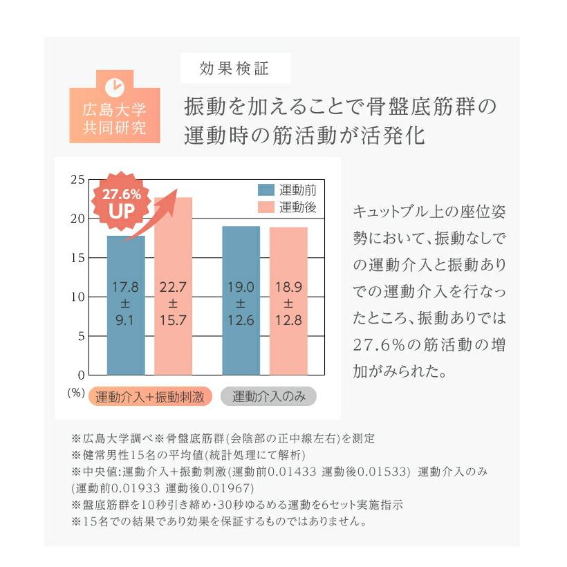 【クーポン】男女兼用 骨盤底筋エクササイズクッション 膣トレ 尿漏れ トレーニング 器具 グッズ マッサージ用品 キュットブル プロイデア PROIDEA  ドリームの画像