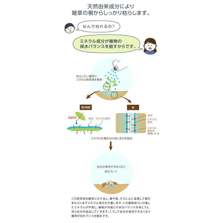 【クーポン】2L&times;2本 除草剤 無害 草取り 雑草 芝 芝生 安全 ガーデニング 無農薬 優しい枯らす 天然成分 庭師さんのミネラル除草液 プロイデア ドリーム