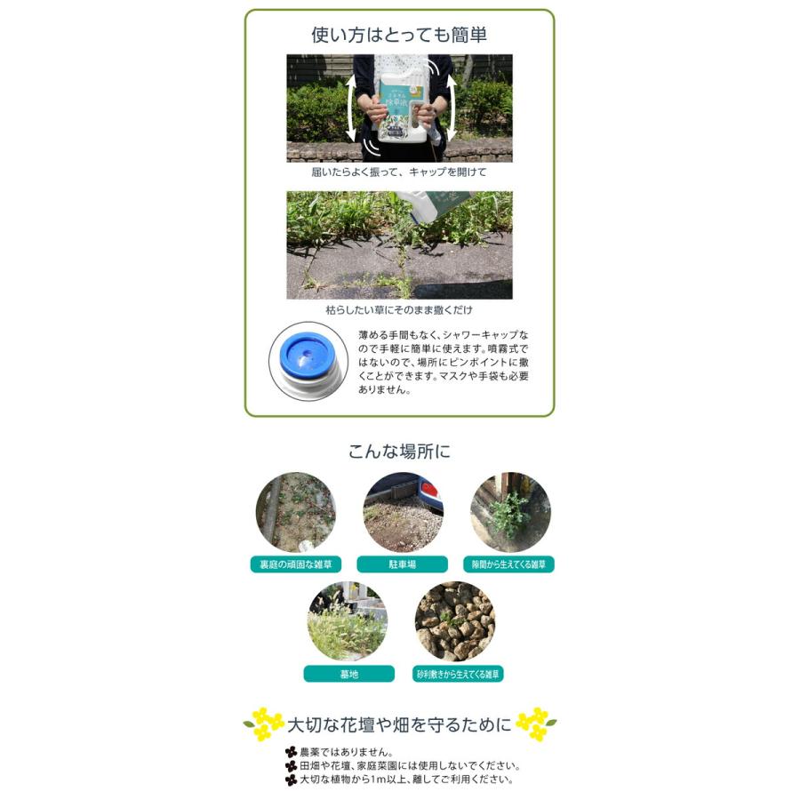 【クーポン】2L&times;2本 除草剤 無害 草取り 雑草 芝 芝生 安全 ガーデニング 無農薬 優しい枯らす 天然成分 庭師さんのミネラル除草液 プロイデア ドリーム