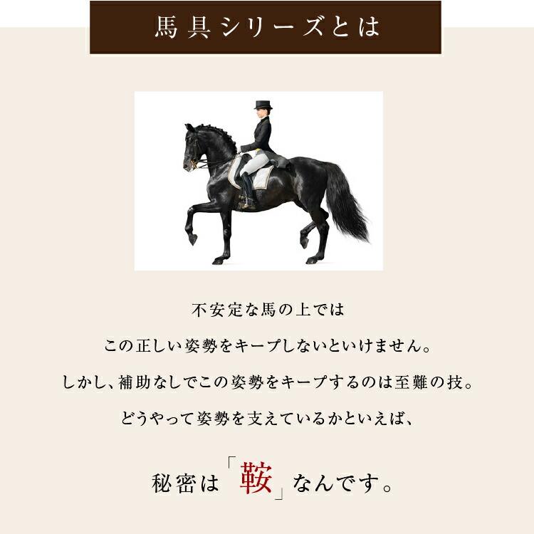 【クーポン】馬具マットプレミアムアドバンス プロイデア 骨盤矯正 椅子 腰ケア用品 座椅子 腰痛 姿勢 骨盤 ゆがみ 矯正 グッズ 日本製 ドリーム 正規販売店