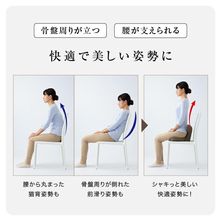【クーポン】馬具マットプレミアムアドバンス プロイデア 骨盤矯正 椅子 腰ケア用品 座椅子 腰痛 姿勢 骨盤 ゆがみ 矯正 グッズ 日本製 ドリーム 正規販売店
