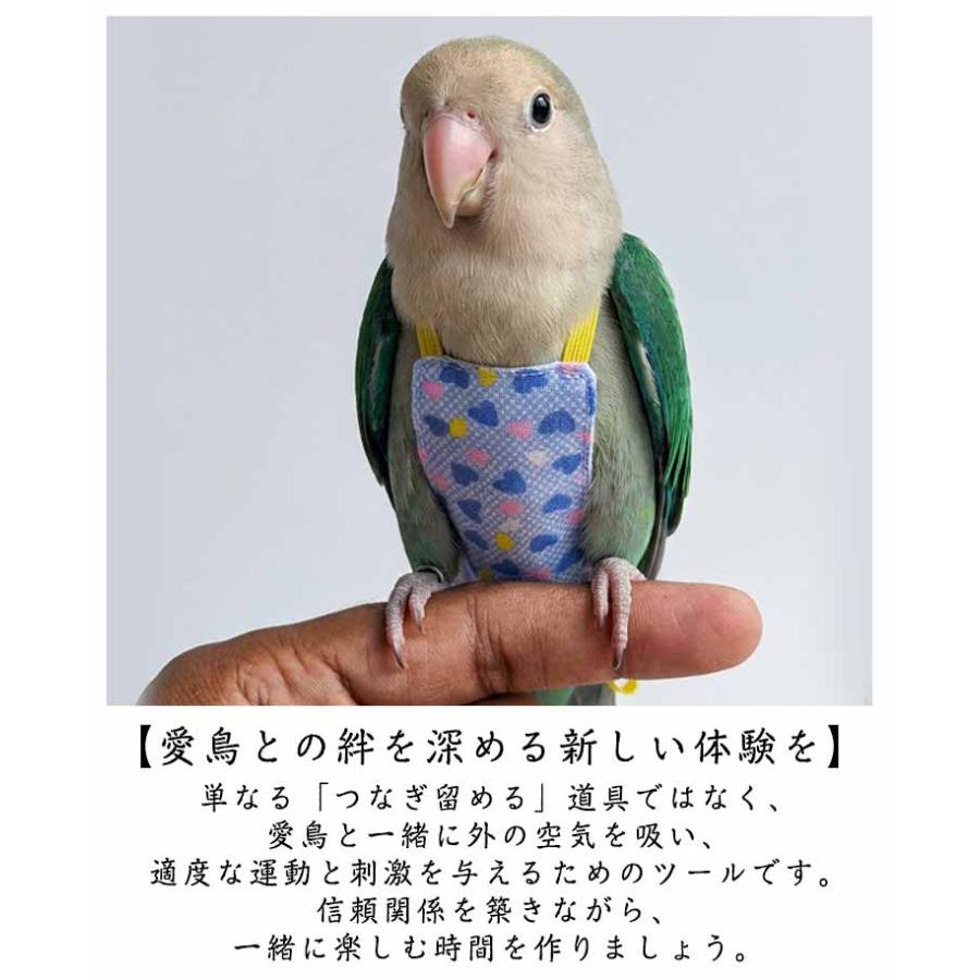 フライトスーツ 鳥 ベスト＋リード インコ用ハーネス リード ベスト