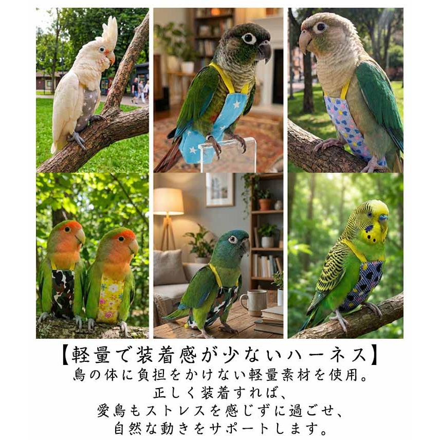 フライトスーツ 鳥 ベスト＋リード インコ用ハーネス リード ベスト 