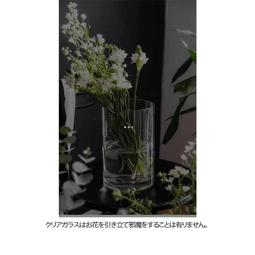 枝物 フラワーベース 50cm ガラス 北欧 大きい 3個/2個/1個入り ガラス 