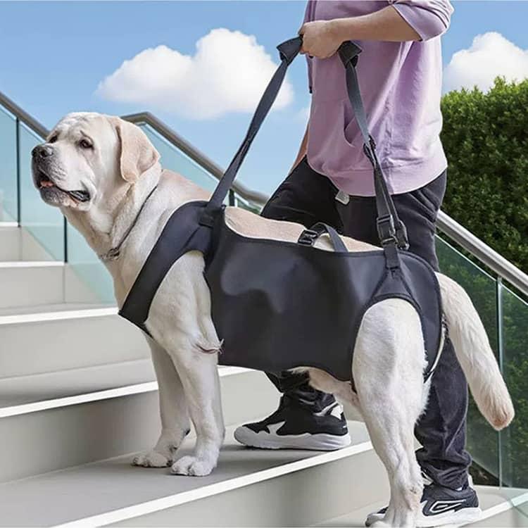 老犬 ハーネス 犬 障害犬 大型犬 歩行補助 中型犬 斜め掛け ショルダー