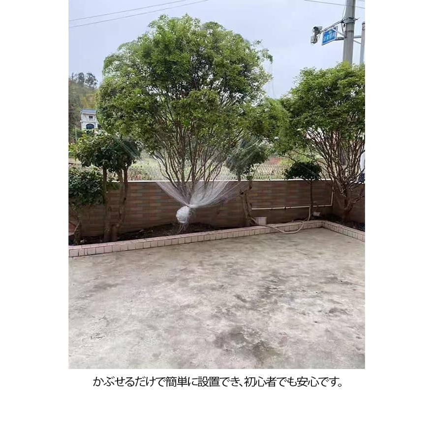 リンゴ 防鳥網 6m 5m 防鳥ネット 9m 果樹 すっぽり 保護ネット 8m 園芸
