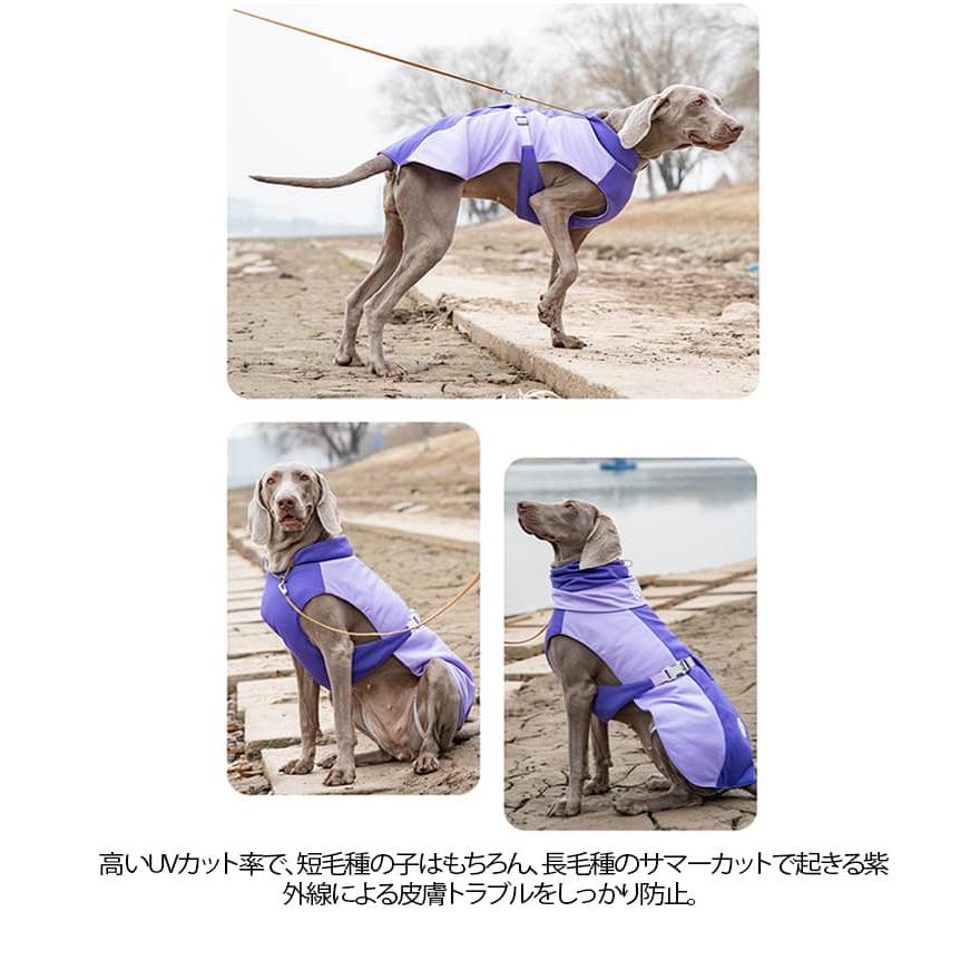 クール 瞬間冷却 犬 ひんやり 夏服 接触冷感 メッシュ 冷感 タンク