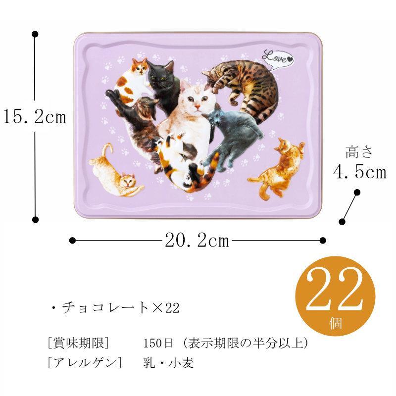 メリーチョコレート ねこみゃみれ にゃそーてっど チョコレート 22個入