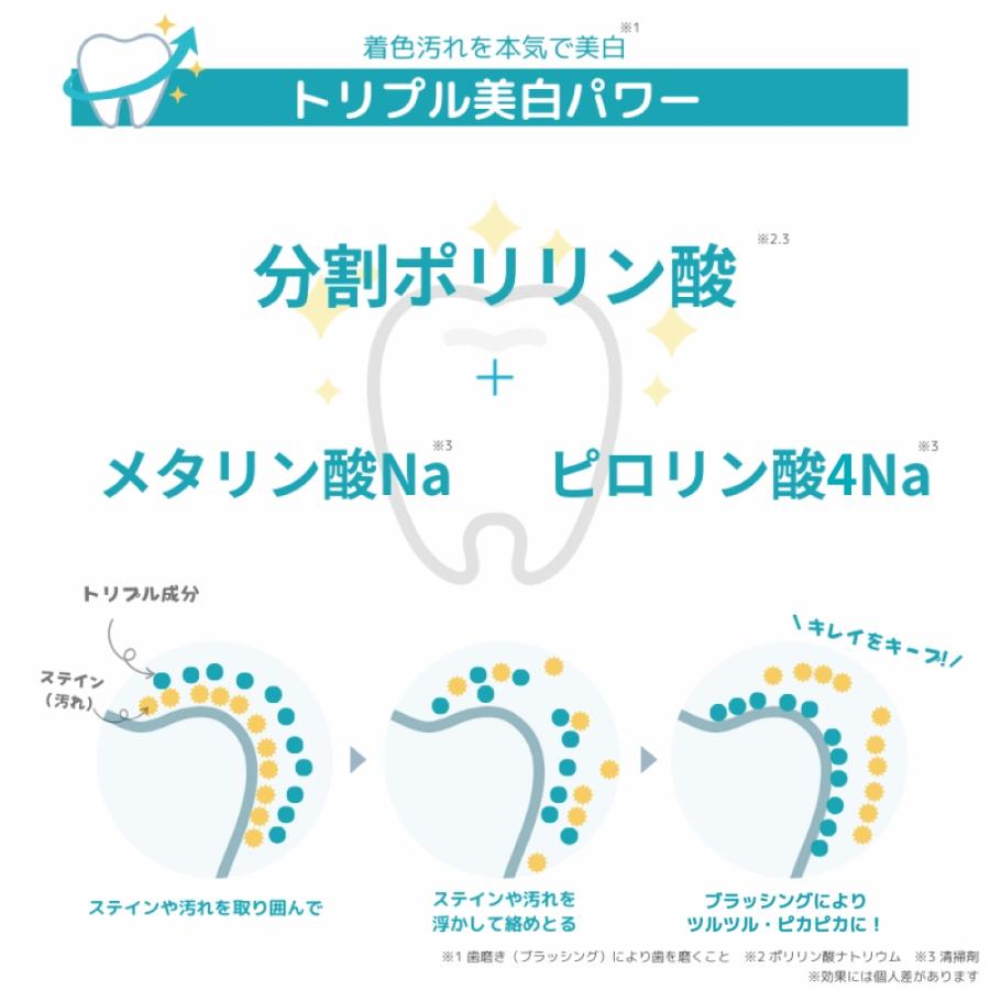 はやポリリン ポリリン本気美白 ホワイトニングキューブ 5個入 スポンジハミガキ 分割ポリリン酸 トリプル美白パワー 着色除去 コーティング 歯を白く ネコポス | リジェンティス | 04
