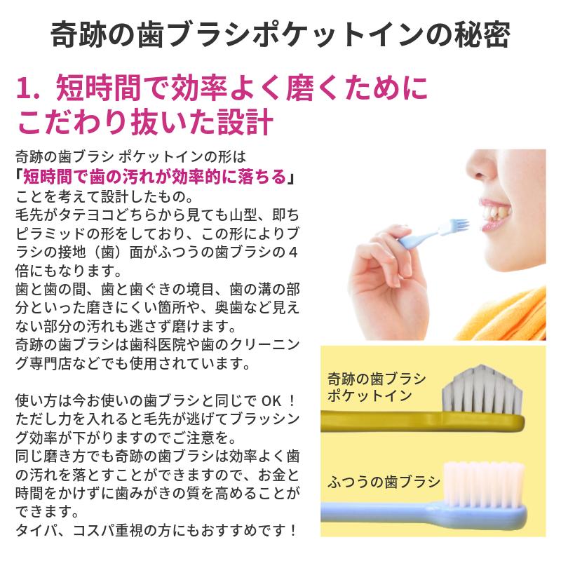 ヤフショ限定 奇跡の歯ブラシ ポケットイン 5色30本セット 正規品 ピラミッド型 すき間にフィット きれいに磨ける 日本製 ネコポス | 奇跡の歯ブラシ | 01