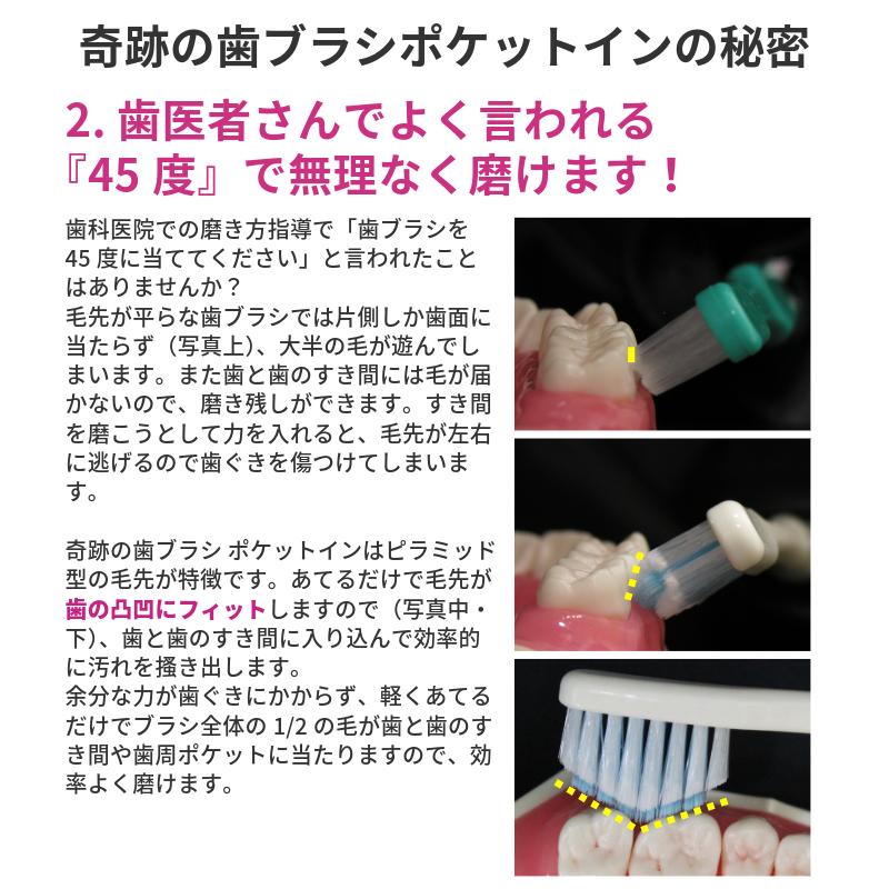 ヤフショ限定 奇跡の歯ブラシ ポケットイン 5色30本セット 正規品 ピラミッド型 すき間にフィット きれいに磨ける 日本製 ネコポス | 奇跡の歯ブラシ | 02