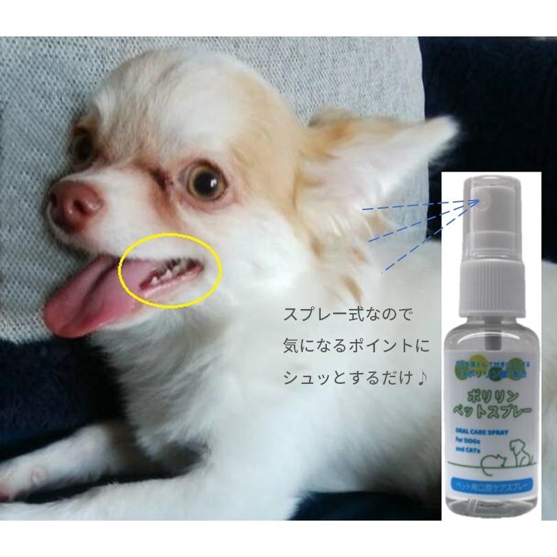 犬 猫 口臭 歯周病 歯石 口内炎 リジェンティス ポリリンペットスプレー 30mL EXポリリン酸配合 歯のコーティング  ペット用口腔ケアスプレー ネコポス | リジェンティス | 02