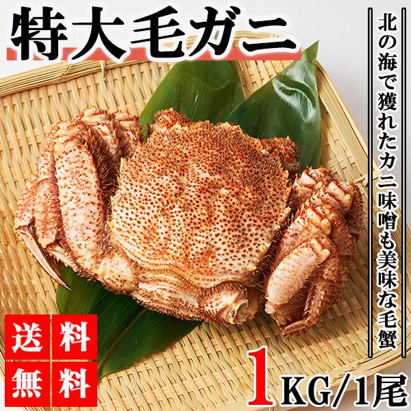 どこで 買う 毛ガニ 毛蟹 1kg 1尾 かに姿 送料無料 ボイル済み カニ味噌 かにしゃぶ 蟹 カニ かに 年末年始 販売 Www Shirleyryan Ca