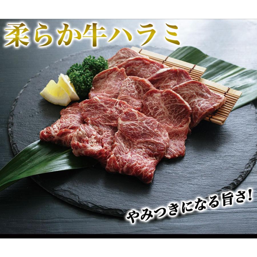 ハラミ 1kg 牛ハラミ やわらかハラミ ハラミ肉 サガリ 焼肉 牛肉 肉 バーベキュー BBQ グルメ メーカー直送 shr-003 |  | 01
