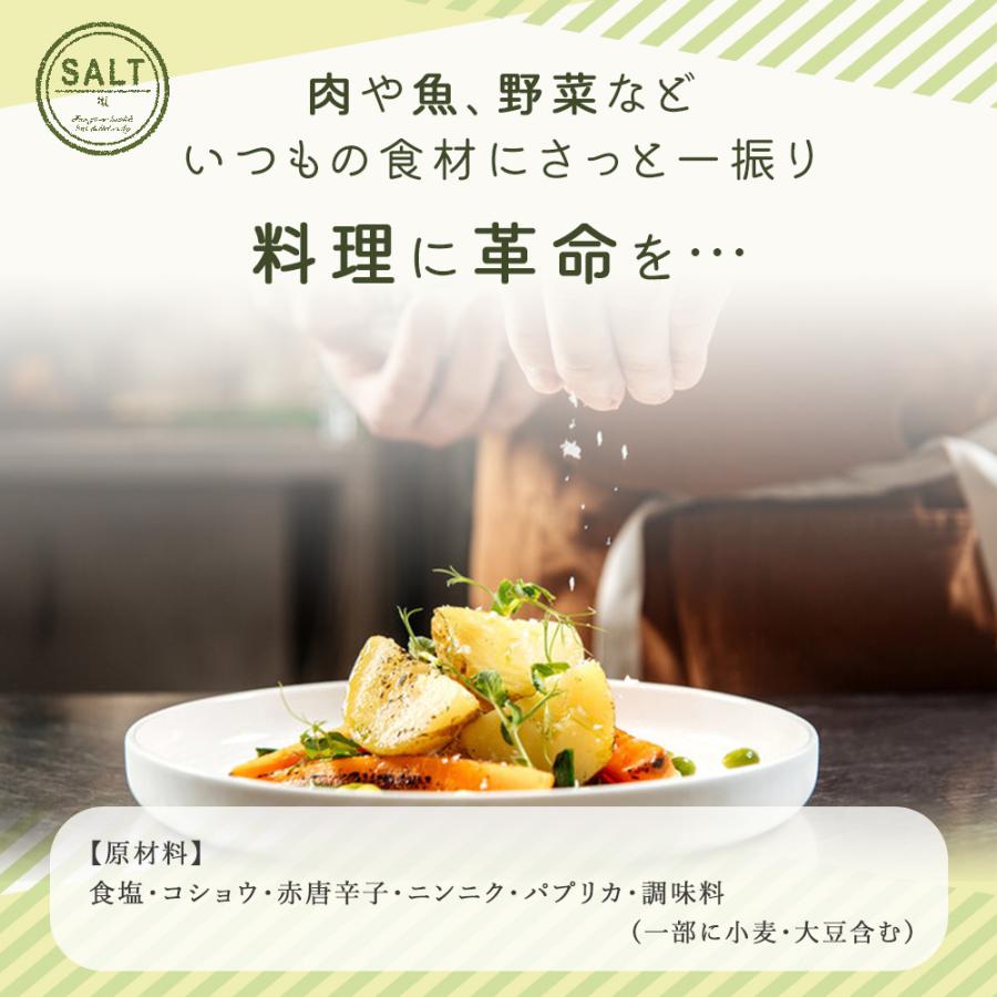 スパイスソルト 塩 50g スパイス ブレンドソルト おつまみ 韓国の味 自家製キムチ 韓国料理 手作り 韓国 韓国焼肉 食品 ギフト 旨味 kr-007 |  | 03