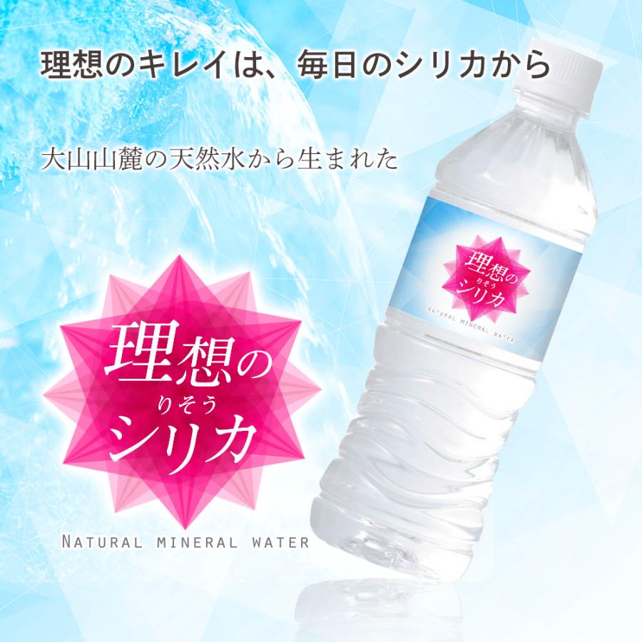 シリカ水 500ml 24本 高濃度シリカ水 シリカウォーター 理想のシリカ ミネラルウォーター ケイ素水 天然水 シリカ 水 軟水 国産 鳥取県産 |  | 01