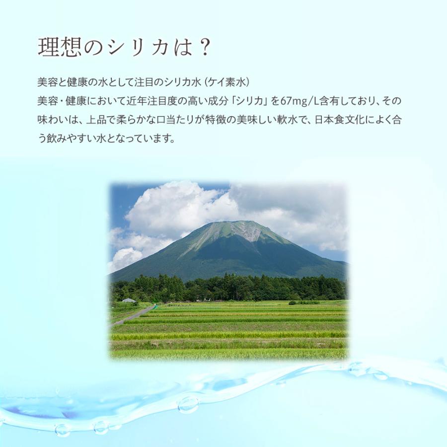 シリカ水 500ml 48本 高濃度シリカ水 シリカウォーター 理想のシリカ ミネラルウォーター ケイ素水 天然水 シリカ 水 軟水 国産 鳥取県産 |  | 02