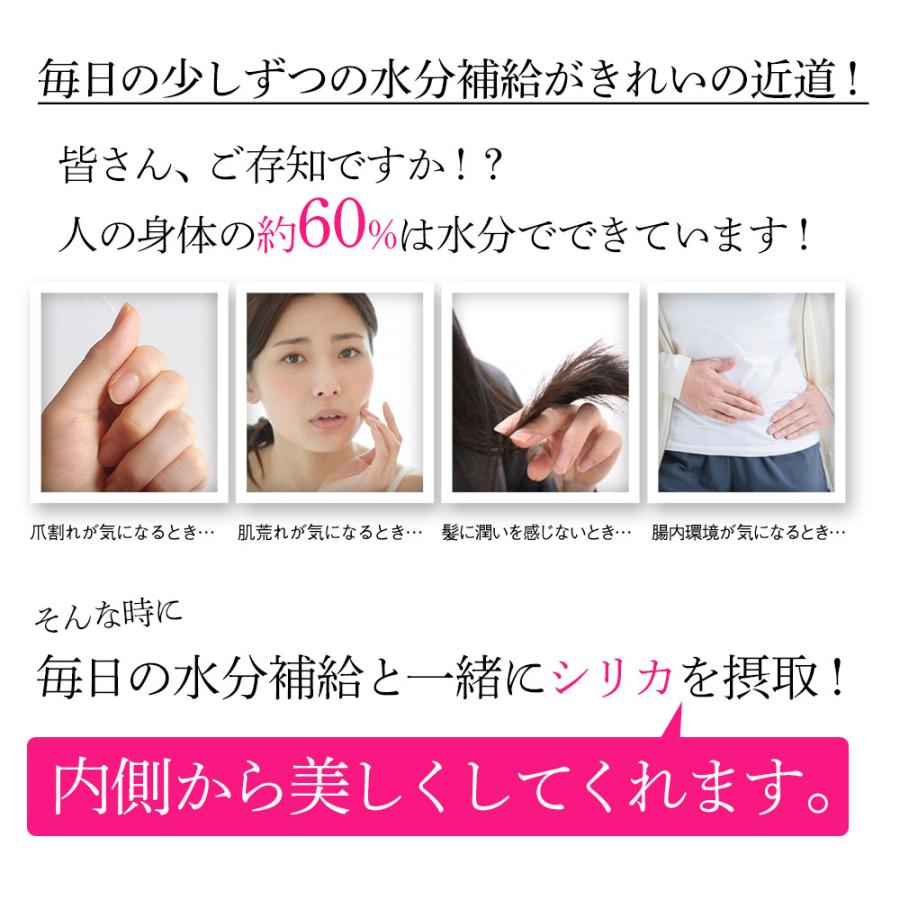 シリカ水 500ml 48本 高濃度シリカ水 シリカウォーター 理想のシリカ ミネラルウォーター ケイ素水 天然水 シリカ 水 軟水 国産 鳥取県産 |  | 04