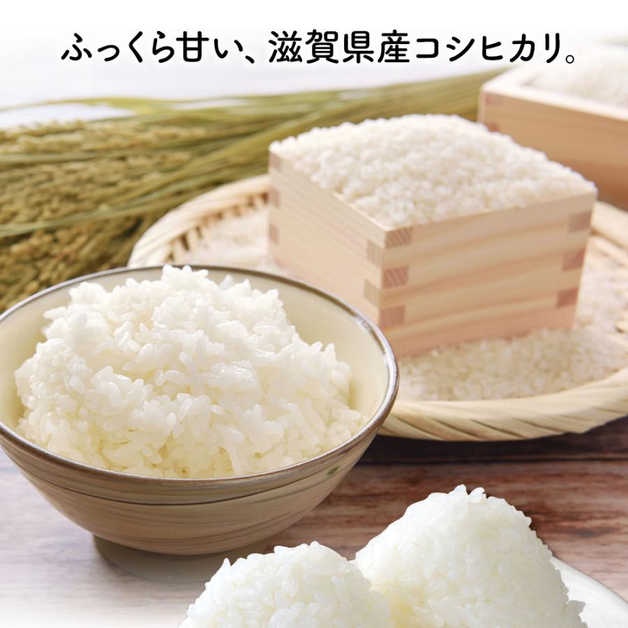 コシヒカリ 10kg 滋賀県産 米 お米 こめ 令和7年度米 受注精米 精米 