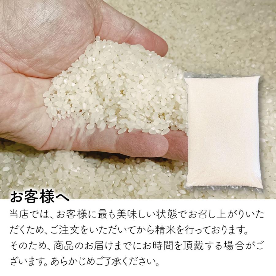 コシヒカリ 10kg 滋賀県産 米 お米 こめ 令和7年度米 受注精米 精米 