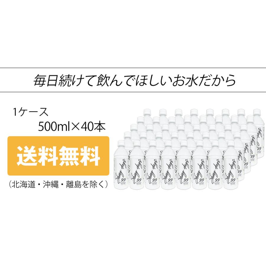 シリカ水 500ml 40本 高濃度シリカ水 シリカウォーター ミネラルウォーター ケイ素水 水 軟水 国産 熊本県産 |  | 08